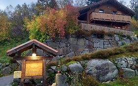 Chalet Typique Vosgien 